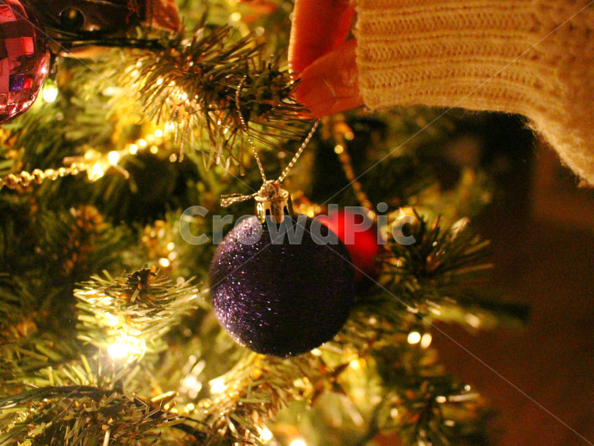 크리스마스,크리스마스트리,크리스마스장식,성탄절,감성사진,christmas,메리크리스마스,체크,빨강,빨간색,초록,초록색,tree,red,green,빛,손,사람,겨울,계절,winter,season,기념일,축하,anniversary,congratulation,celebrate,celebration,메리크리스마스,성탄절,merry christmas