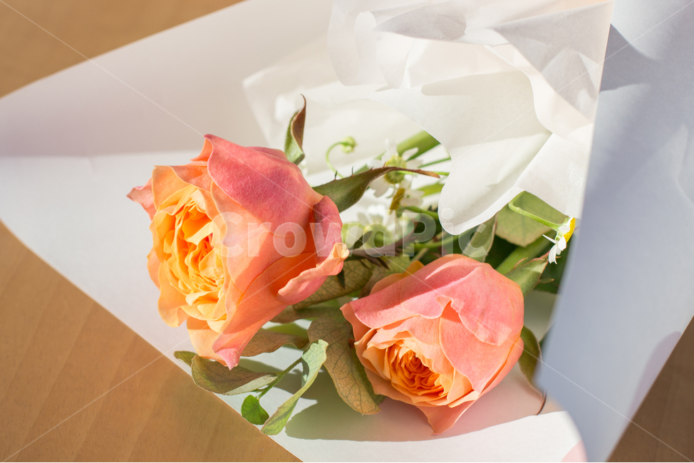 꽃다발,장미,꽃,flower,rose,그라데이션,기념일,축하,anniversary,congratulation,celebrate,celebration