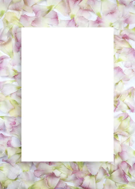 꽃,프레임,백그라운드,배경이미지,봄,계절,꽃잎,꽃다발,보태니컬,보태니컬프레임,내츄럴