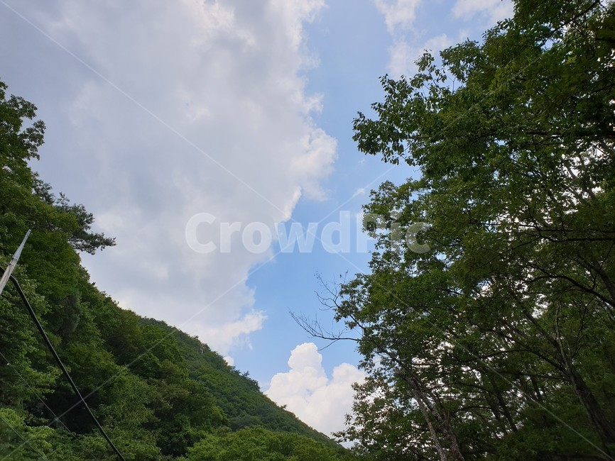 산,구름,파랑,bluesky,녹색초록,green,자연풍경,여름,나무,숲