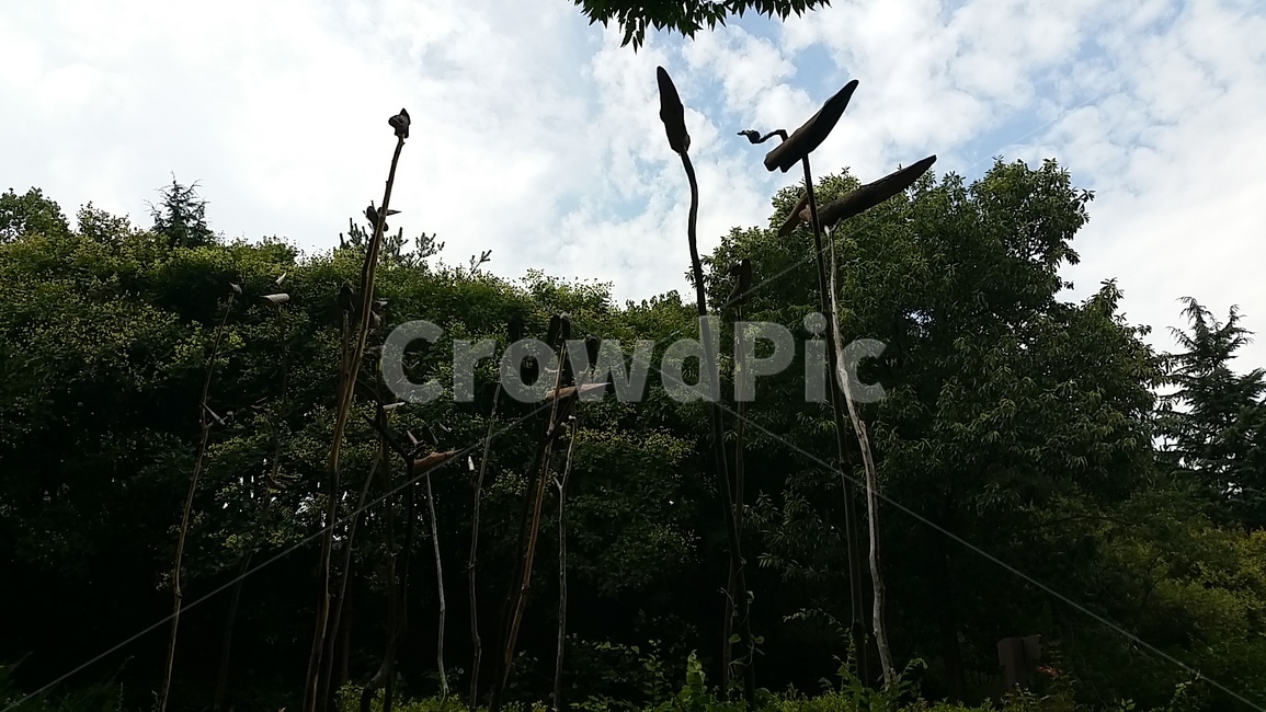 솟대,민간신앙,대구수목원,새모양,새,액막이