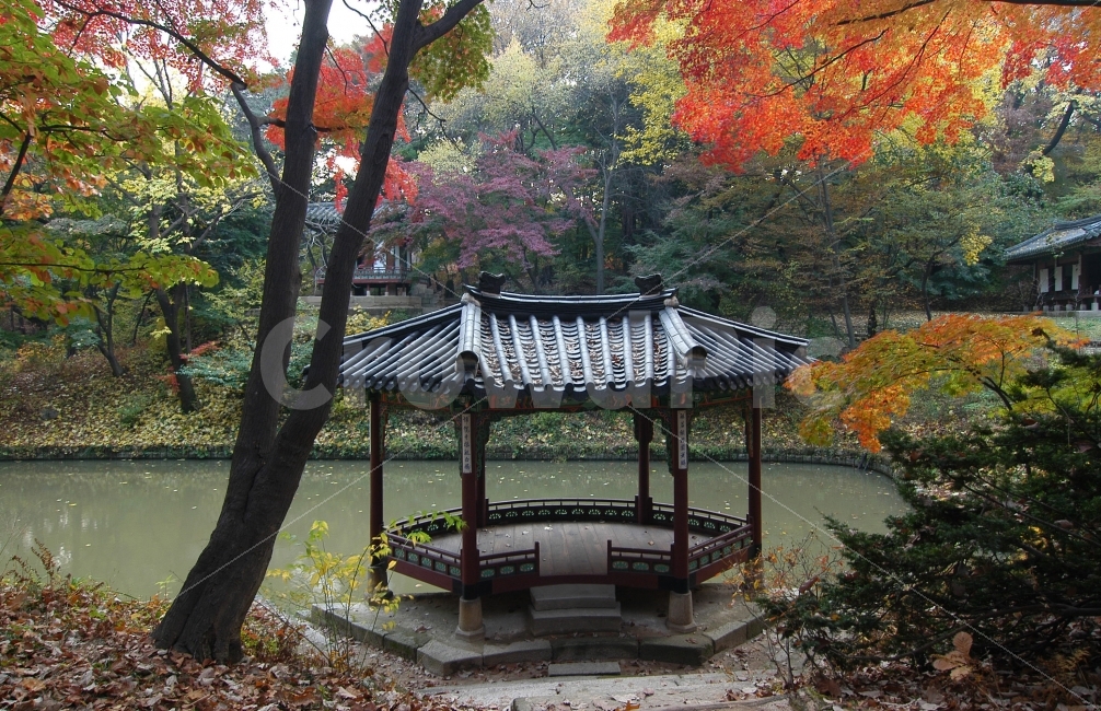 가을,단풍,창덕궁,비원,후원,가을풍경,정자,한국,한국전통,관람정,나뭇잎,자연,풍경,전통건축,관광,여행,전통,자연,풍경,nature,landscape,가을,계절,fall,autumn,season,랜드마크,landmark,tourist attraction,한국전통,한국문화,korean traditional,korean culture,tree,나무,plant,식물