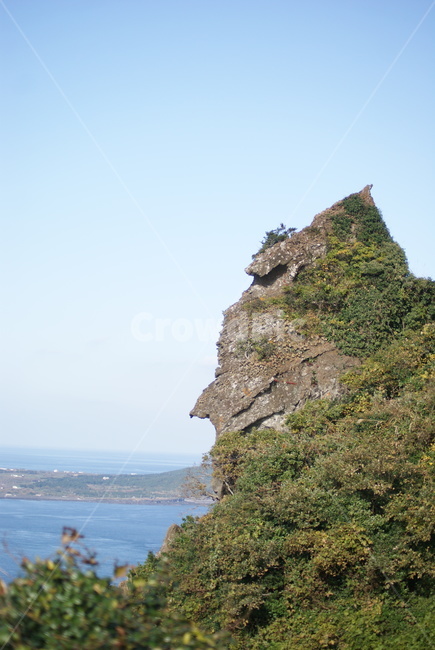 자연,바위,산,풀,잎,돌,하늘,감성,nature,stone,leaf,mountain,제주도