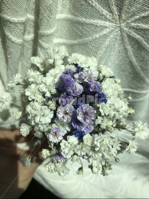 안개꽃,미니꽃다발,흰색안개꽃,보라색,흰색,보라색안개꽃,안개꽃다발