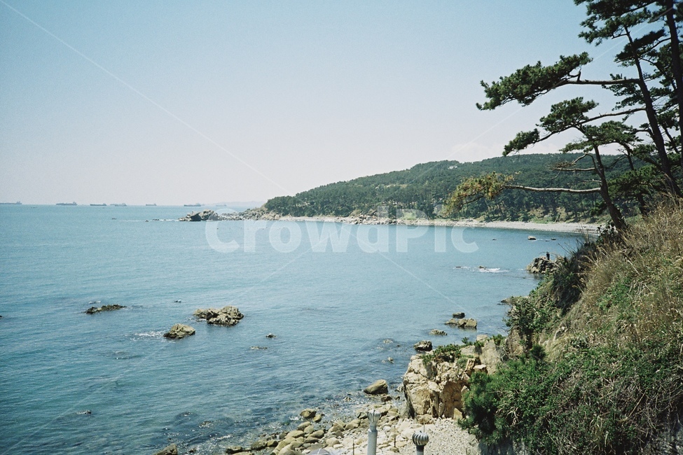 바다,로모,필름,로모카메라,필름카메라,풍경,film,lomo,필카,filmcamera,lomocamera,landscape,일산해수욕장,대왕암공원,필름사진,sea,beach,lomograpgy,로모그래피,자연,풍경,nature,landscape,promontory,곶,land,땅,outdoors,옥외,water,물,shoreline,해안선,ocean,대양