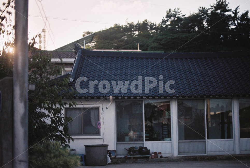 필름,감성,감성사진,film,아날로그,analog,시골,시골풍경,시골집,시골,마을,풍경,landscape,country,rural,town,감성,sensible,feeling,건축물,건물외관,exterior,building,structure,architecture,construction