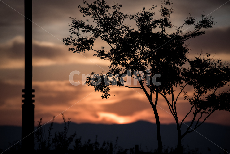 nature,자연,outdoors,옥외,실루엣,silhouette,dusk,황혼,sunset,일몰,dawn,새벽,sky,하늘,redsky,붉은하늘