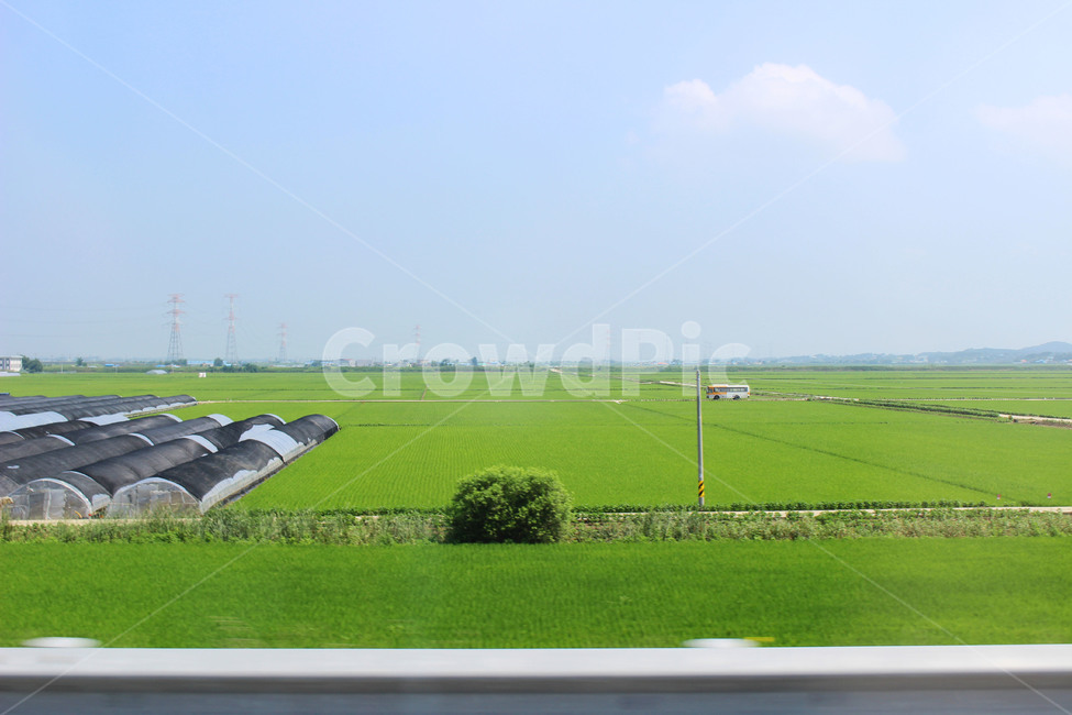 outdoors,field,들,nature,자연,목초지,grassland,옥외,논,논두렁,시골,농사,시골풍경,시골길,버스,시골버스,농업,농사,agriculture,farming,farming industry