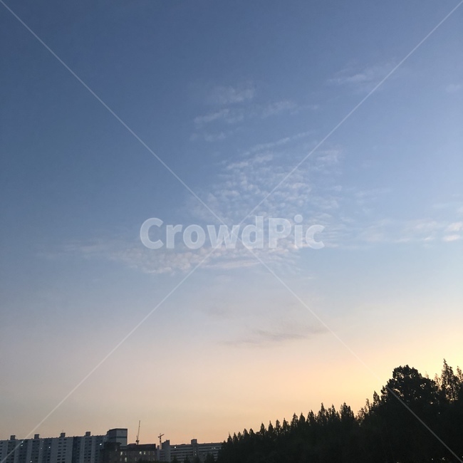 구름,하늘,석양,나무,노을,가을,자연,풍경,nature,landscape,outdoors,옥외