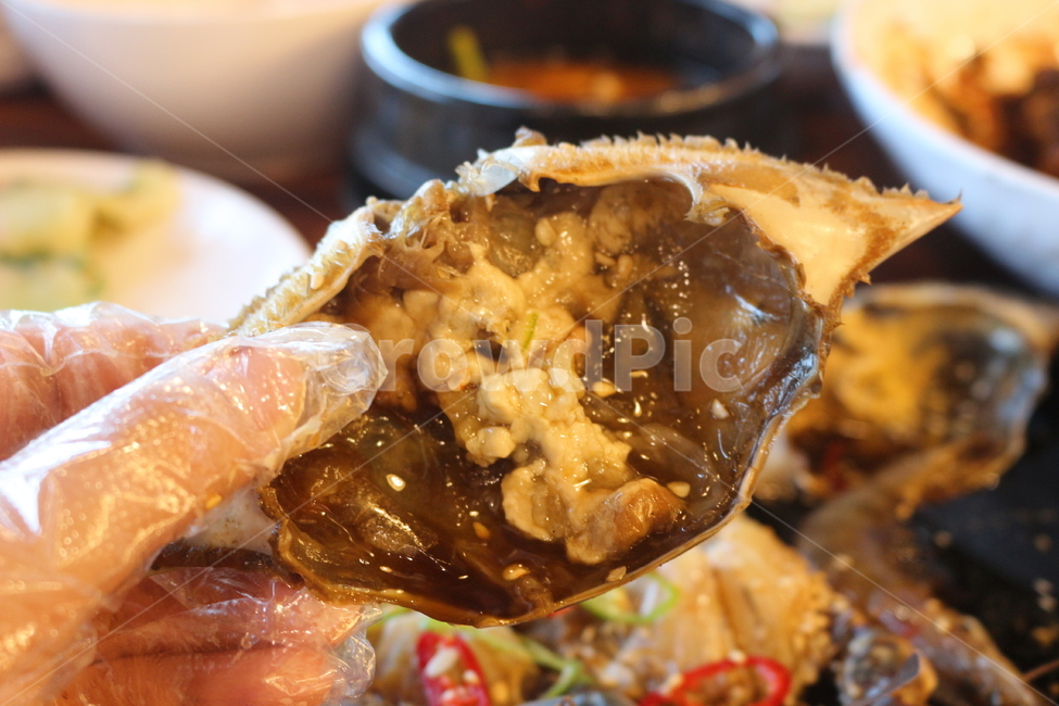 간장게장,crab,게딱지,food,koreafood,soycrab,간장게장정식,음식,식재료,요리,food,cook,meal,dishes,food reserves,수산물,해산물,fishery products,seafood,한식,한국음식,한국요리,korean food,korean dishes,korean meal,korean cook