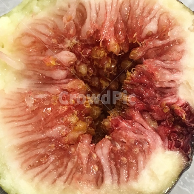 무화과,과일,과일단면,fig,fruit,음식,식재료,요리,food,cook,meal,dishes,food reserves,과일,열매,fruit