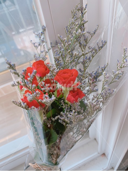 장미,장미꽃,꽃다발,꽃선물,장미꽃다발,꽃,꽃,flower