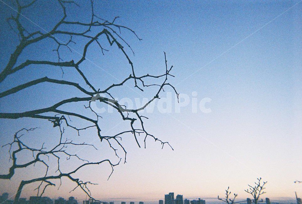 하늘,heaven,노을,sunset,겨울,winter,감성,필름