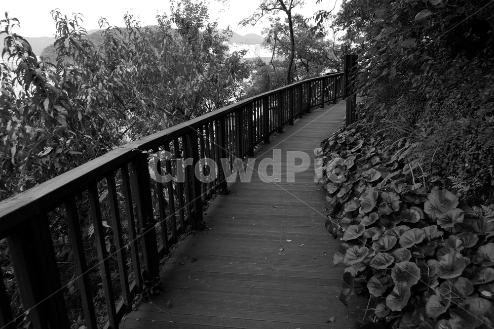 길,산책,산책로,흑백,자연,자연,풍경,nature,landscape,흑백,모노톤,monochrome,black and white,railing,난간,handrail,banister