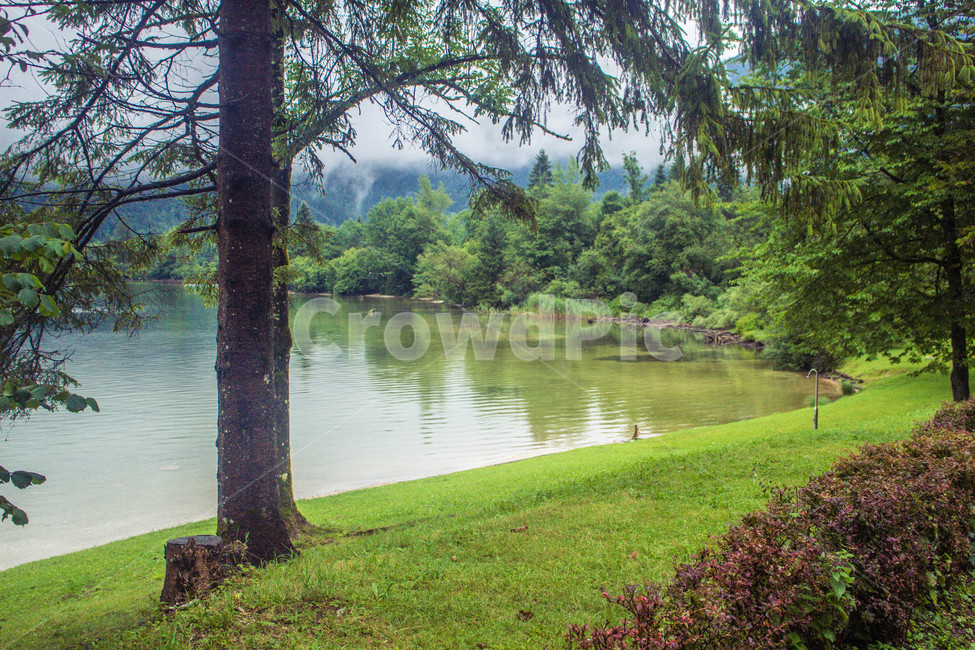 숲,호수,lake,할슈타트,나무,tree,식물,plant,풍경,landscape,오스트리아,austria,유럽,europe,자연,풍경,nature,landscape,해외,외국,세계,foreign,oversea,world,세계자연풍경,해외자연풍경,외국자연풍경,world nature landscape,식물,plants,나무,trees,wood,water,물,outdoors,옥외