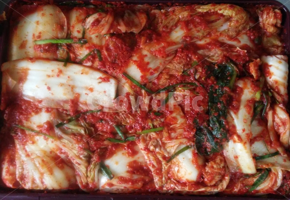 김치,음식,침채,식품,kimchi,겉절이,음식,식재료,요리,food,cook,meal,dishes,food reserves,한식,한국음식,한국요리,korean food,korean dishes,korean meal,korean cook