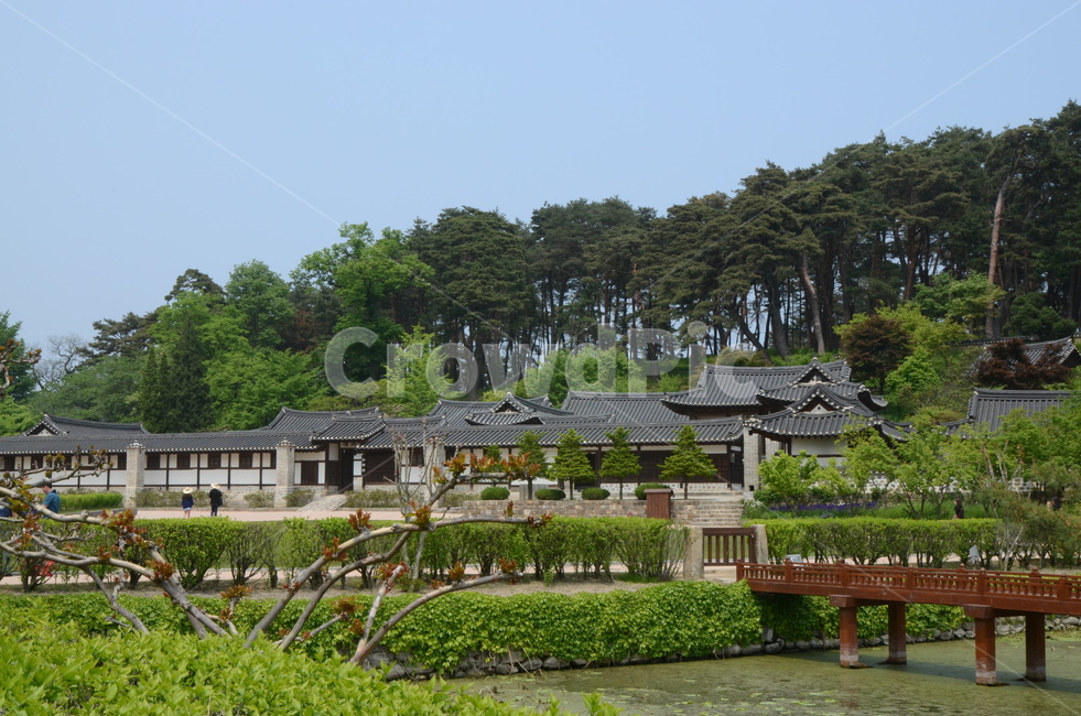 선교장,강릉,자연,nature,연못,옥외,outdoors,한옥,나무숲,기와,문화재,전통가옥,고택,건축물