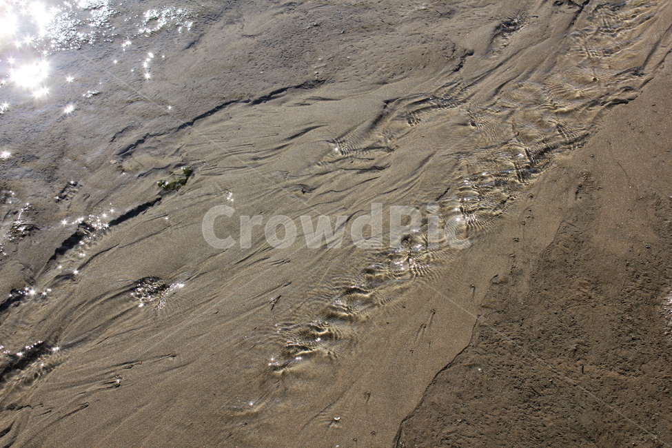 바닷가,흙,진흙,갯벌,모래,모래사장,젖은,해안가,브라운,갈색,바다,물,바닷물,빛,햇빛,물길,흐름,자연,풍경,nature,landscape