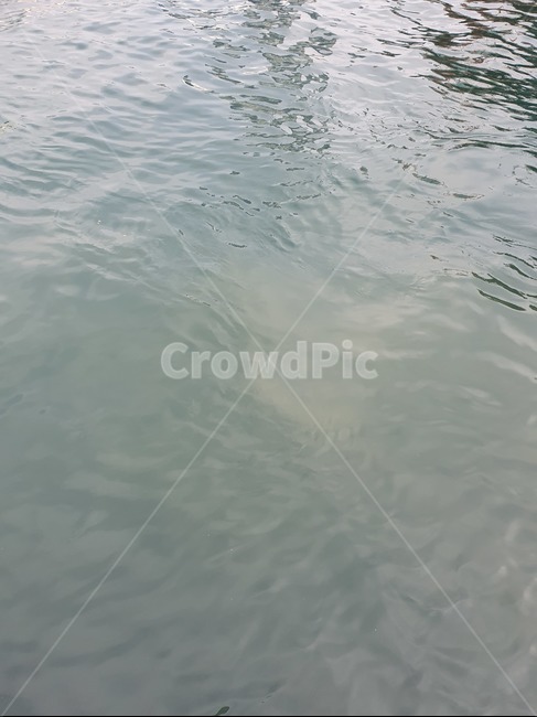 water,물,outdoors,sea,바다,바닷물,wave,물결,파도