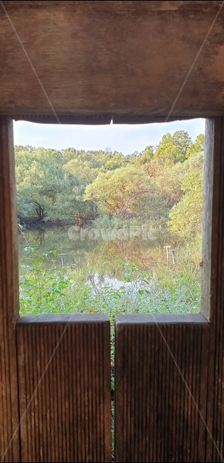 그림,연못,작은,창,창문,window