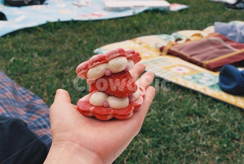 마카롱,피크닉,소풍,디저트,딸기,나들이,잔디밭,돗자리,picnic,dessert,음식,식재료,요리,food,cook,meal,dishes,food reserves,디저트,간식,후식,dessert,snack