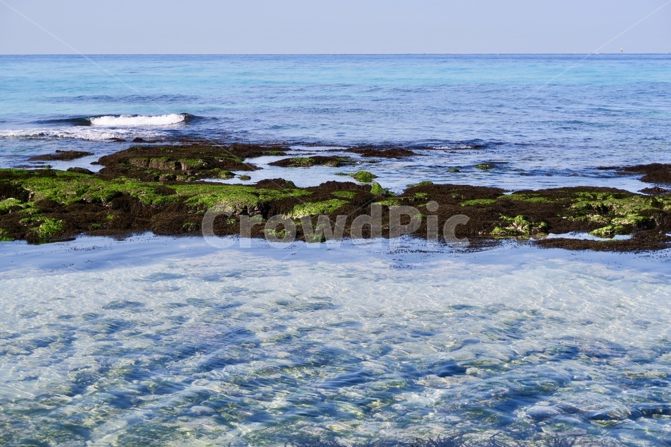 바다,파도,물,자연,풍경,표면,파랑,아쿠아,자연,풍경,nature,landscape,제주도,jeju,jeju island,promontory,곶,plant,식물