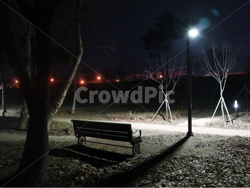 bench,벤치,의자,나무,가로등,공원,낙엽,야간,야경,밤,fallenleaves,야간사진,야경,밤,풍경,nightscape,night,landscape,furniture,가구