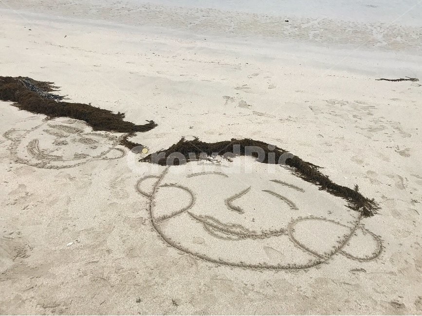 제주도,바닷가,미역,그림,얼굴,모래,모래사장,해변,바다,beach,sea