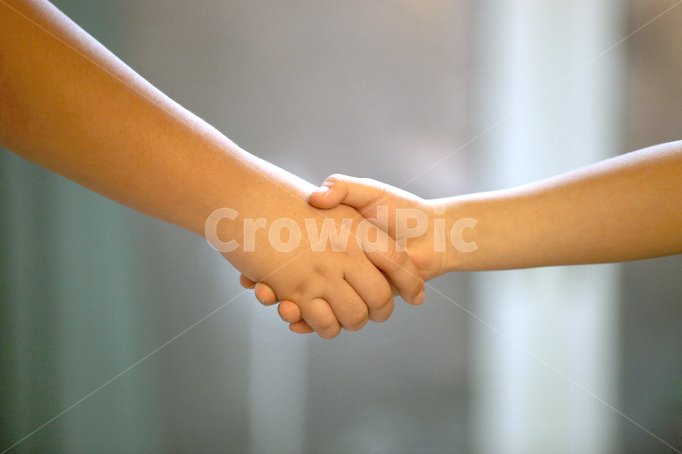 악수,형과동생,어린이악수,화해,체결,hand,인간,person,동맹,신체일부,몸,body,손,제스처,표시,손짓,표현,gesture,hand,sign,expression,감정표현,기분,feeling,emotion