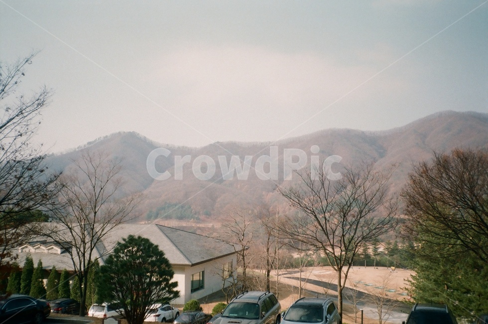자연,필름카메라,산,아날로그,나무,풍경,자연,풍경,nature,landscape,transportation,교통,car,차,vehicle,차량,automobile,자동차