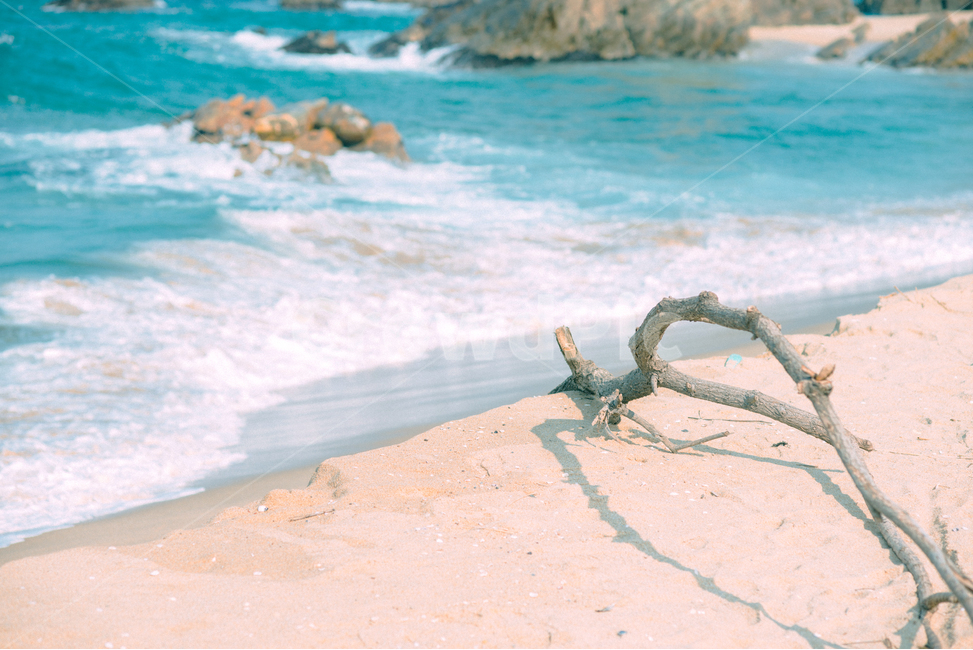 바다,하늘,바다하늘,수평성,동해,동해바다,해변,바다,beach,sea,감성,sensible,feeling