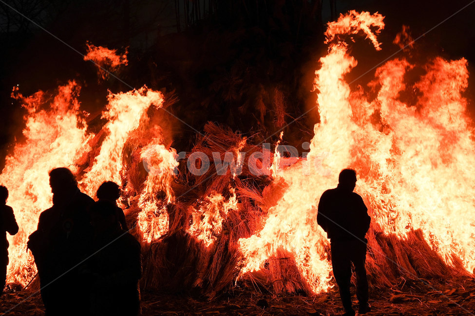 정월대보름,행사,달집태우기,달집,불,소원,소망,fire,hope