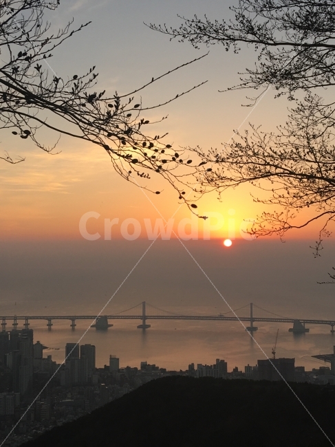 2017,새해,해돋이,태양,부산,금정산,광안대교,busan,sun,bridge,sunrise,도시,풍경,city,landscape,nature,자연,outdoors,옥외