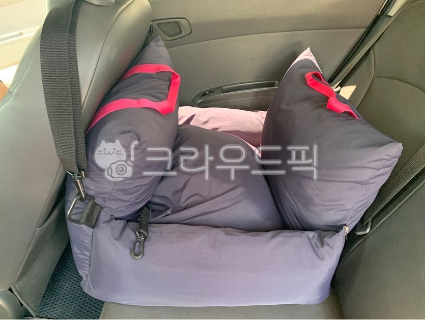 강아지,강아지카시트,강아지차시트,강아지차,애견카시트,멍카시트,펫카시트,애견차시트,멍차시트,펫차시트,차시트,카시트,강아지집,강아지방석