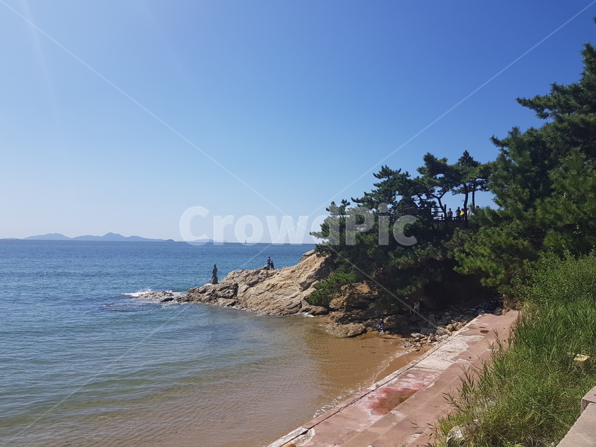 가을,바다,바위,나무,모래사장,자연,풍경,nature,landscape,promontory,곶,water,물,shoreline,해안선