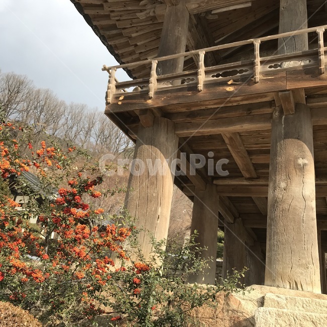 자연,전통,꽃,풍경,아름다운,빈티지,한국전통,한국문화,korean traditional,korean culture,건축물,건물외관,exterior,building,structure,architecture,construction
