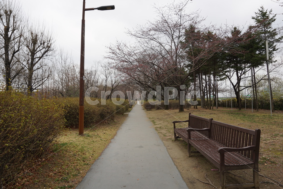 풍경,봄이오기전,초봄,흐린날,산책