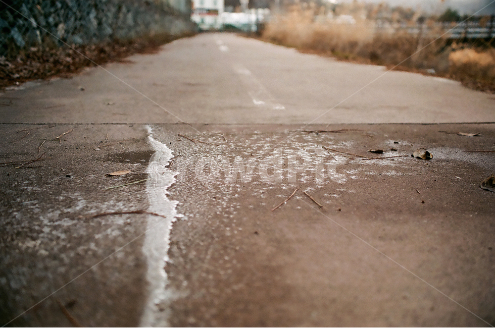 필름사진,길,자전거도로,도로,road
