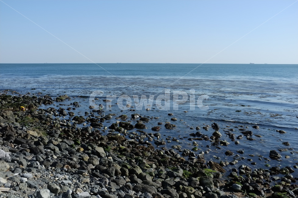 바다,sea,돌,자연,해변