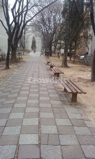 건축물,아파트,주거용,나무,보도블록,도시,풍경,city,landscape,furniture,가구,bench,벤치,flagstone,판석