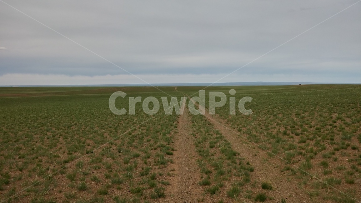 초원,벌판,자연,풍경,길,몽골,지평선,road,trail,몽고,MONGOLIA
