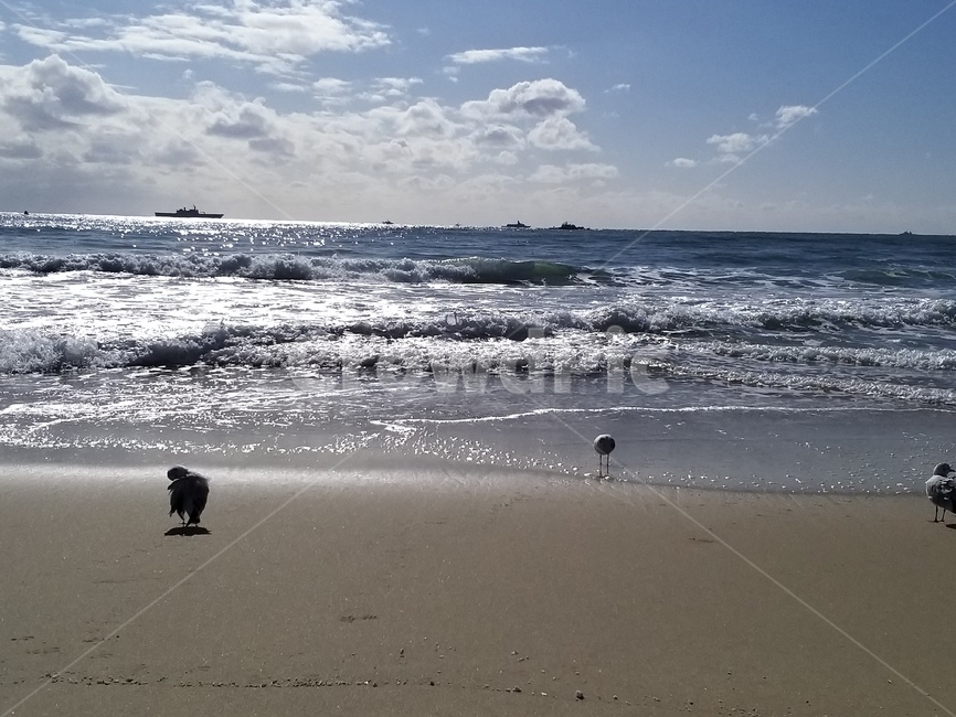 바다,자연,water,물,nature,대양,ocean,outdoors,옥외,파도