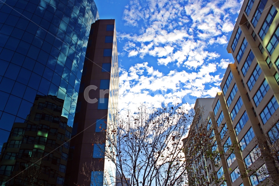 조각구름,구름,시드니,화창한,맑은,도시,풍경,city,landscape,해외,외국,세계,foreign,oversea,world,세계도시풍경,해외도시풍경,외국도시풍경,world cityscape,건축물,건물외관,exterior,building,structure,architecture,construction,건물,office building,사무실 건물,urban,어반