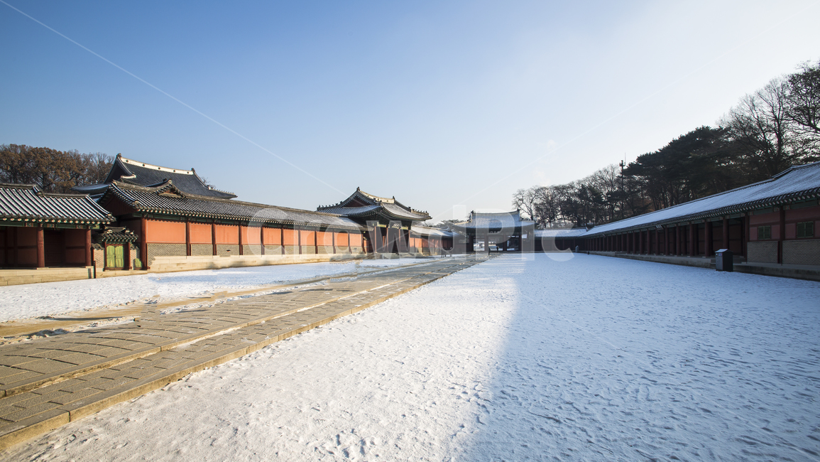 고궁,역사,서울,창덕궁,비원,조선,겨울,계절,winter,season,한국전통,한국문화,korean traditional,korean culture,랜드마크,landmark,tourist attraction,한국랜드마크,한국관광지,한국명소,korea landmark,korea tourist attraction,건축물,건물외관,exterior,building,structure,architecture,construction