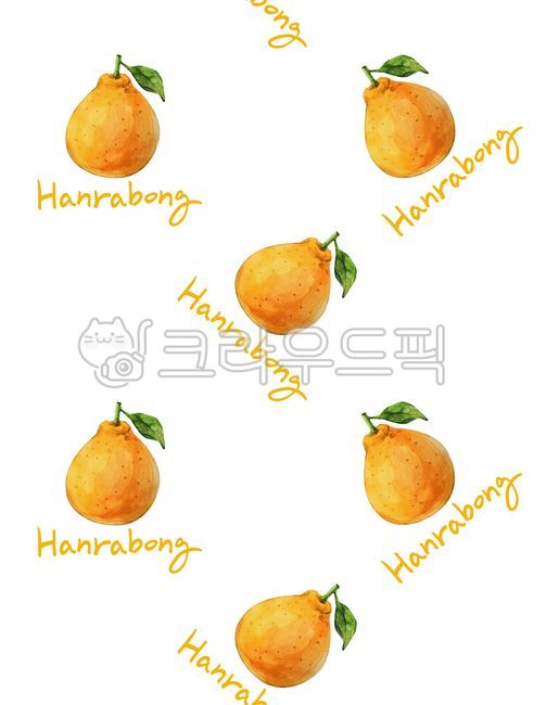 Hallabong Illustration,Callie,fruit,pattern,food background,winter,Agricultural products,Tangerine illustration,watercolor illustration,background paper,Orange,tangerines,spring,Jeju Illustrations,background image,writing,graphic,mandarin,pretty,fruit ill