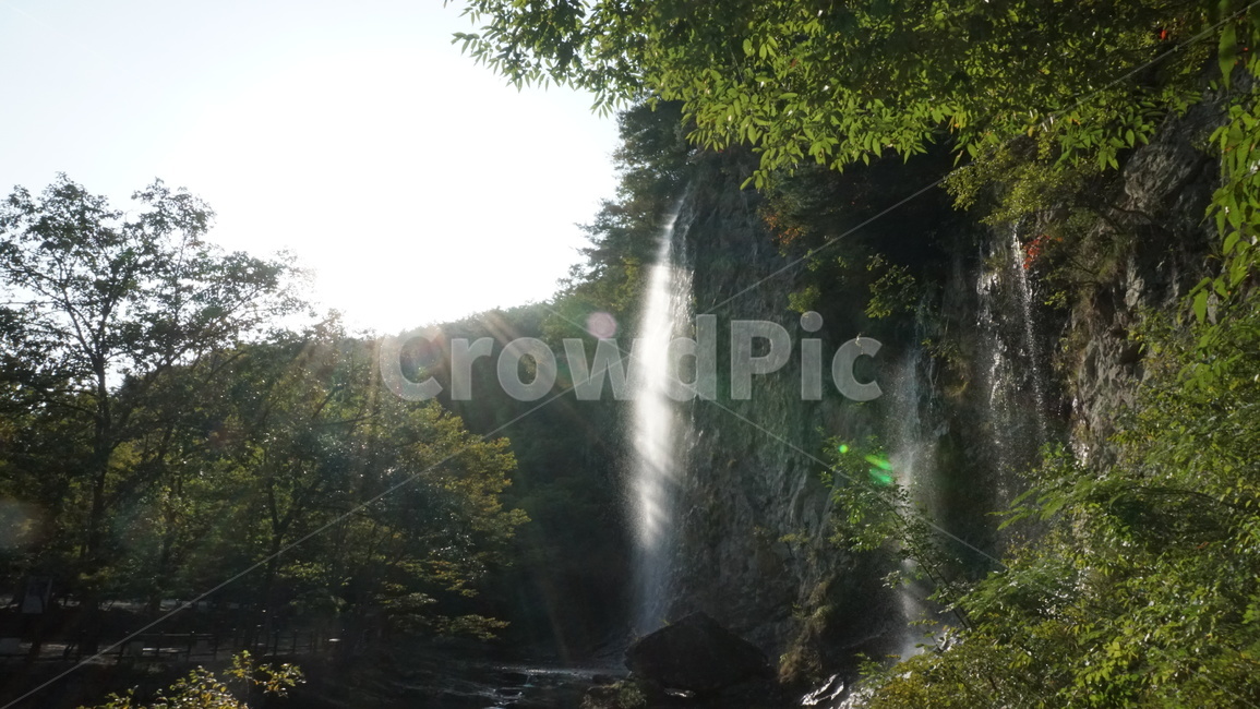 폭포,절벽,물,떨어짐,나무,숲,풍경,자연,풍경,nature,landscape,휴식,힐링,rest,relaxation,healing,river,강,water,outdoors,옥외,waterfall