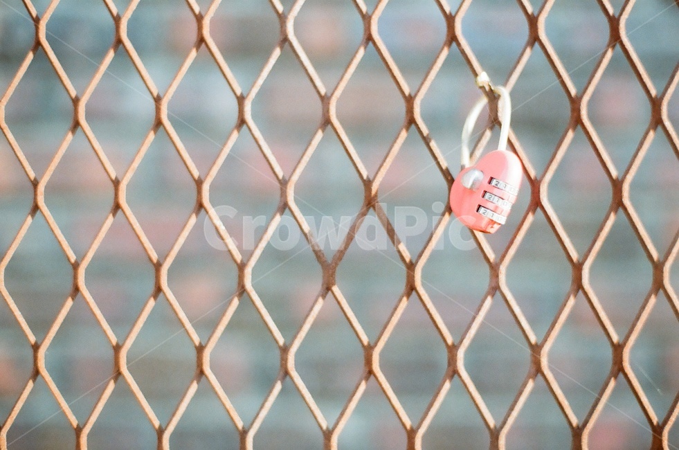 감성사진,사랑의자물쇠,자물쇠,철망,옥상,감성,sensible,feeling,사물,물건,오브젝트,thing,object,matter