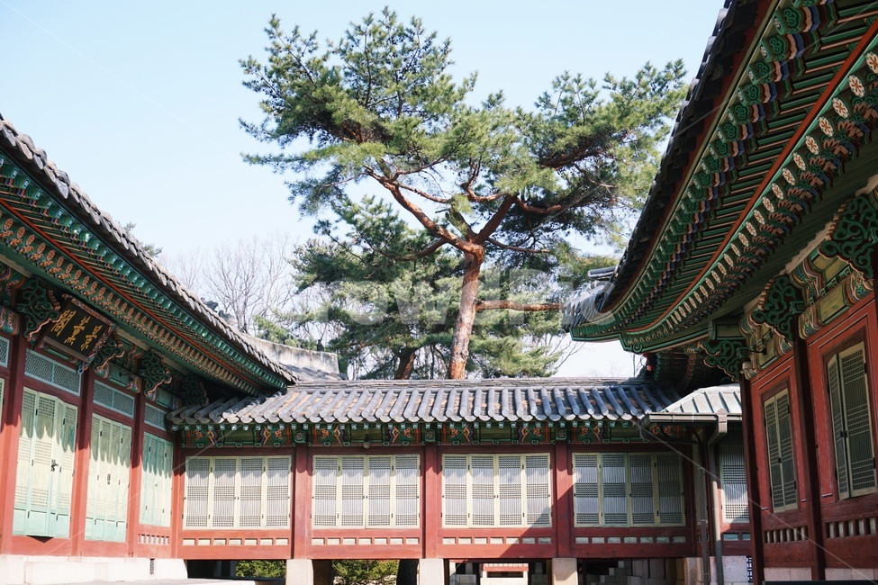 architecture,건축물,building,건물,고궁,palace,전통건물,창덕궁