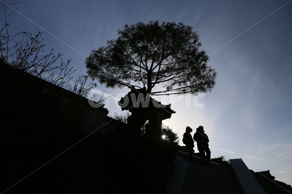 실루엣,silhouette,human,사람,역광,식물,자연,plants,nature,나무,trees,wood,실루엣,그림자,silhouette,shadow
