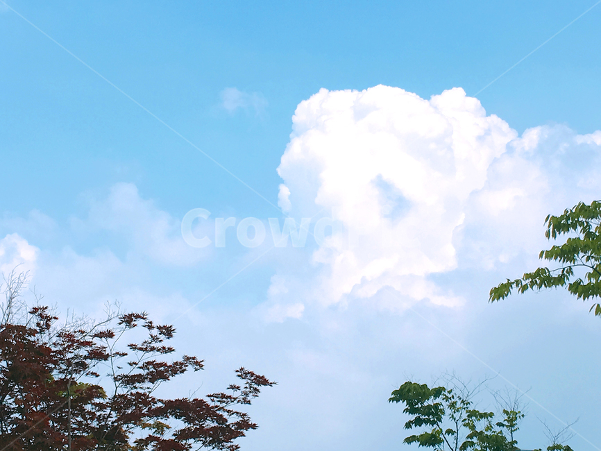 하늘,sky,파란하늘,풍경,배경,구름,자연,풍경,nature,landscape,outdoors,옥외